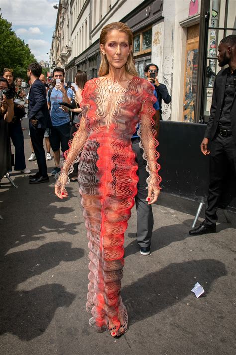 Céline Dion's No Pants Paris Couture Fashion Week Dress